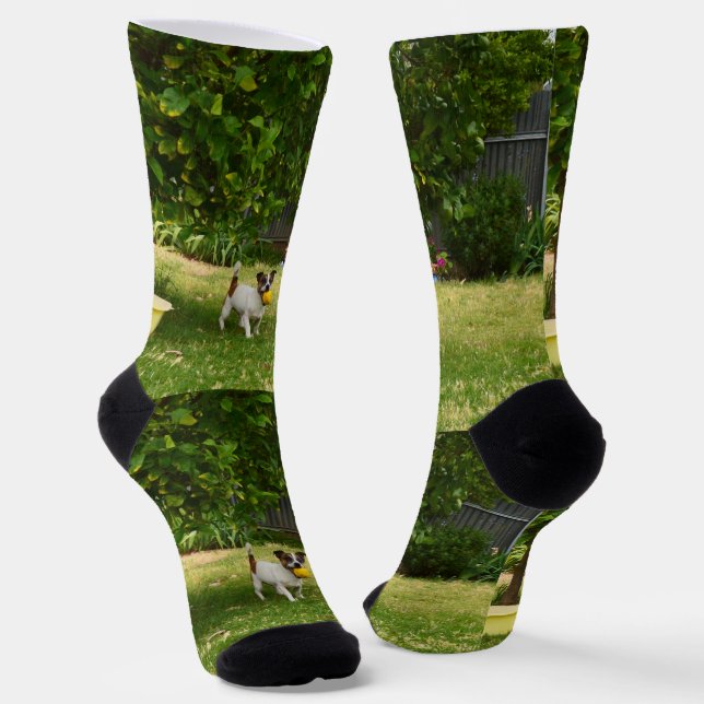 Fox Terrier Happy Days,  Socks (Angled)