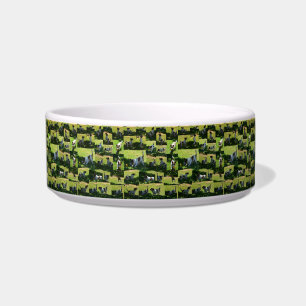 Fox Terrier Long Hard Day Photo Collage, Bowl