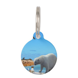 Fox Terrier Meeting A Polar Bear, Pet Tag