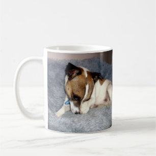 Fox Terrier, Oh So Shy, White Coffee Mug. Mug