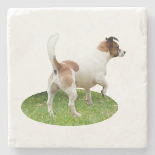 Fox Terrier On Alert, Stone Coaster