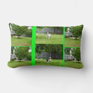 Fox Terrier Photo Collage, Lumbar Cushion. Cushion
