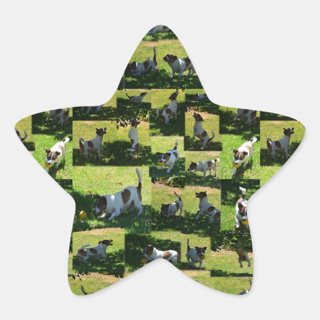Fox Terrier Photo Collage, Star Sticker (Front)