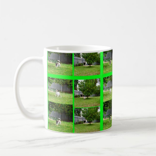 Fox Terrier Photo Collage White Coffee Mug (Left)