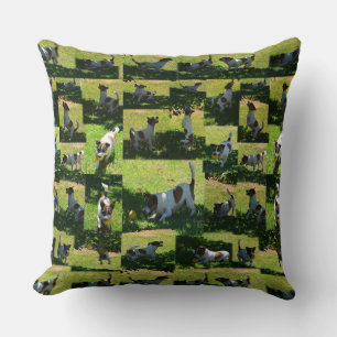 Fox Terrier Playing, Photo Collarge Large Cushion. Cushion