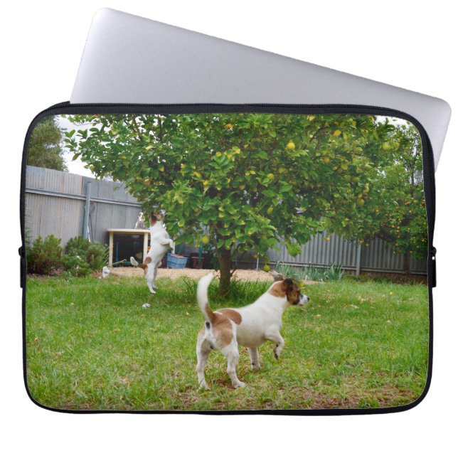 Fox Terrier Playtime, 13 inch Laptop Sleeve. Laptop Sleeve (Front)