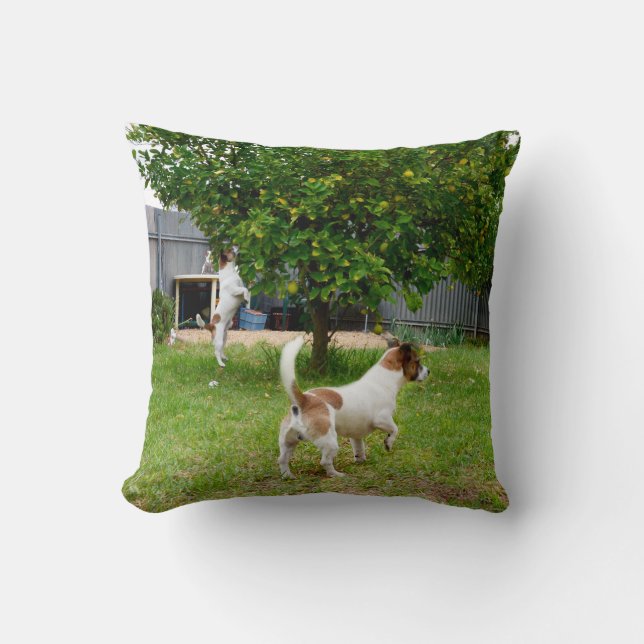 Fox Terrier Playtime Lounge Throw Cushion (Front)