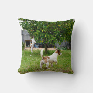 Fox_Terrier_Playtime_Lounge_Throw_Cushion Cushion