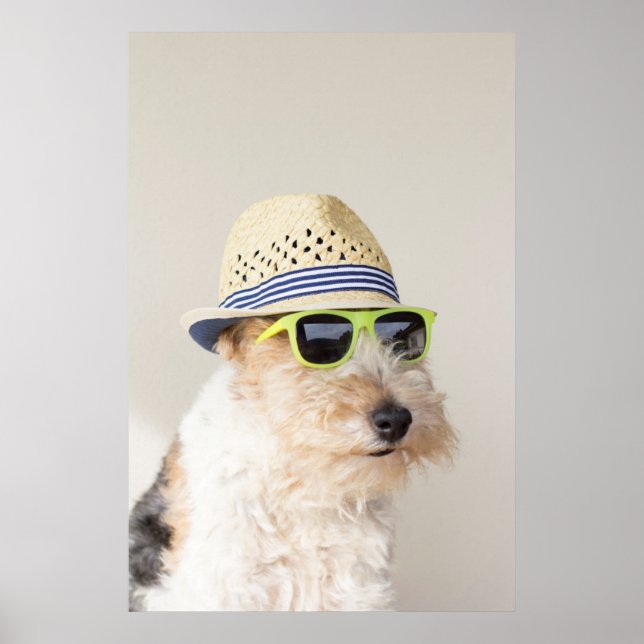 Fox Terrier Poster (Front)