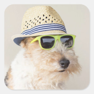 Fox Terrier Square Sticker