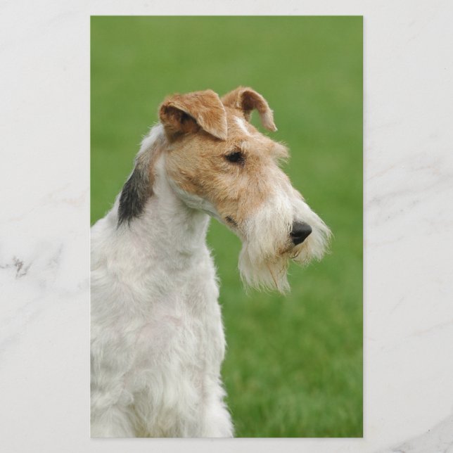 Fox Terrier Stationery (Front)