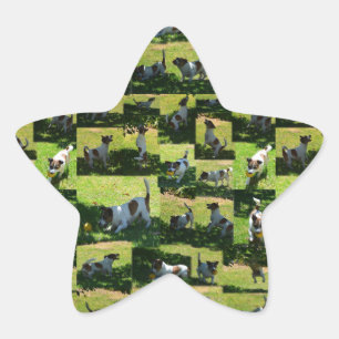 Fox Terrier, The Hard Day, Star Sticker