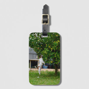 Fox Terrier The Leap, Luggage Tag