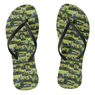 Fox Terrier The Long Hard Day Photo Collage, Jandals