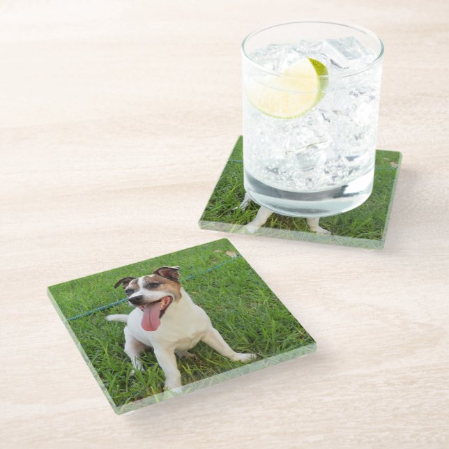 Fox Terrier, Tongue In Cheek,   Glass Coaster (Angled)