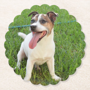 Fox Terrier, Tongue In Cheek, Paper Coaster
