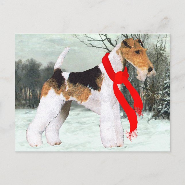 Fox Terrier Winter Postcard (Front)