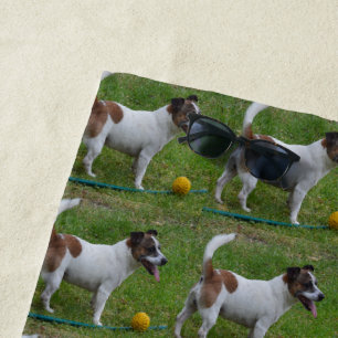 Fox Terrier With His Yellow Ball, Beach Towel