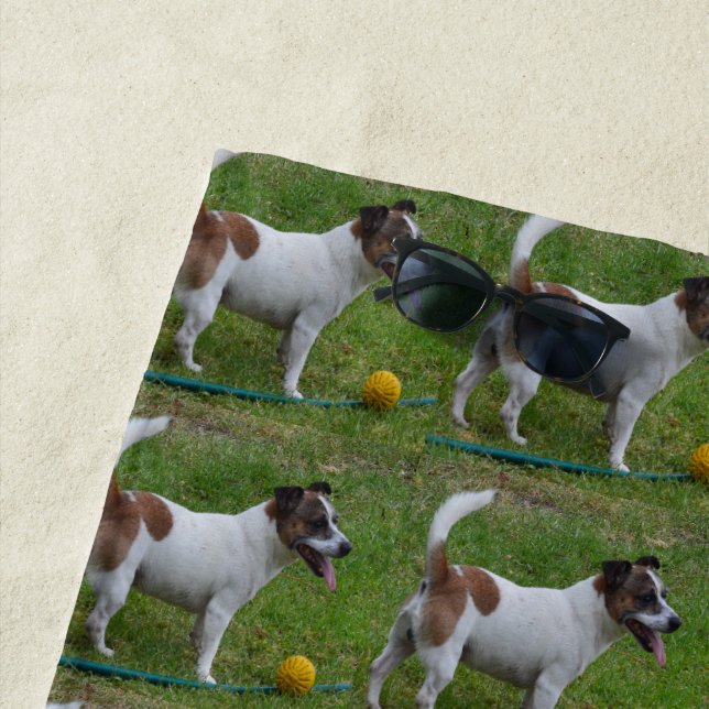 Fox Terrier With His Yellow Ball, Beach Towel (In Situ)