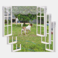Fox Terriers Exploring The Garden,