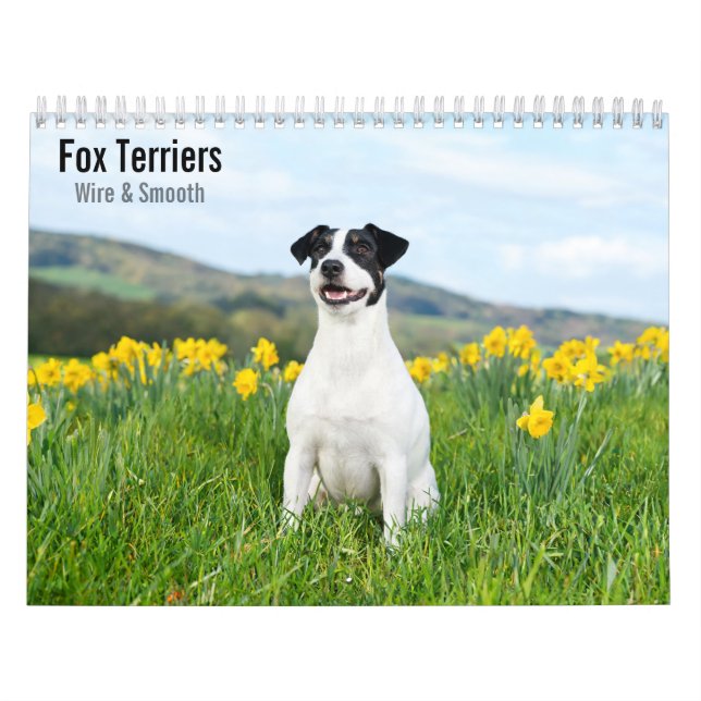 Fox Terriers Wire & Smooth 2027 Calendar (Cover)