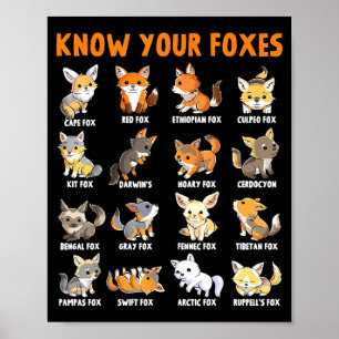 Fox Types Kawaii Foxes Funny Educational Animal Fo Poster