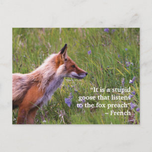 Fox Wildlife Postcard
