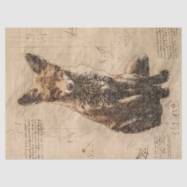 Fox Wildlife Retro Drawing Tissue Paper (Front)
