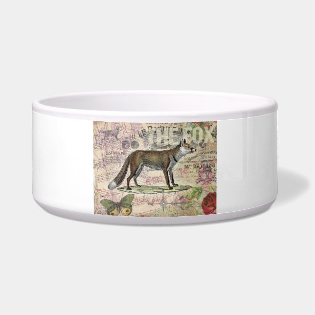 Fox Wildlife Vintage Animal Illustration  (Front)