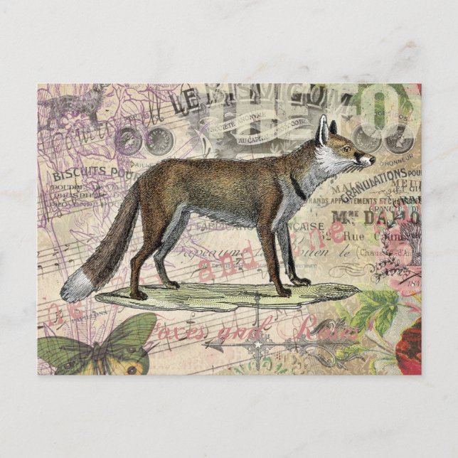 Fox Wildlife Vintage Animal Illustration  Postcard (Front)