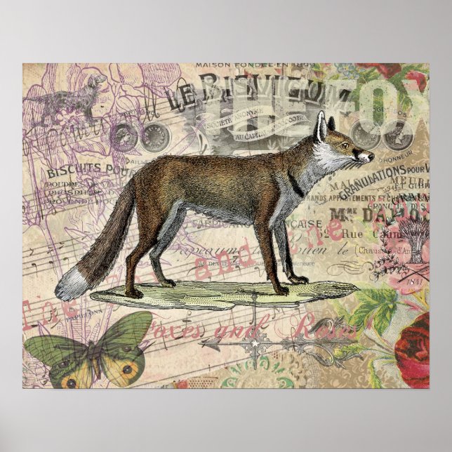 Fox Wildlife Vintage Animal Illustration  Poster (Front)