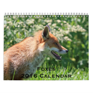Foxes 2016 Calendar