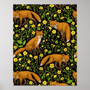 Foxes and buttercups on black poster