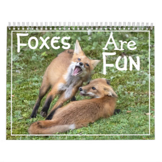 Foxes Are Fun Calendar