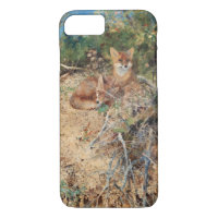 Foxes, Bruno Liljefors