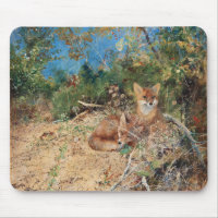 Foxes, Bruno Liljefors
