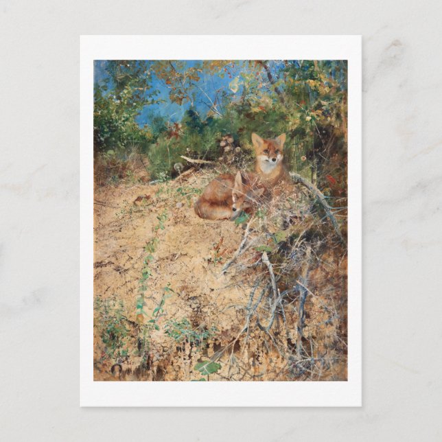 Foxes, Bruno Liljefors Postcard (Front)