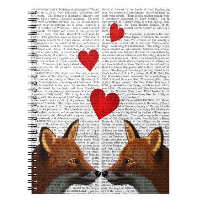 Foxes in Love Spiral Notebook (Front)
