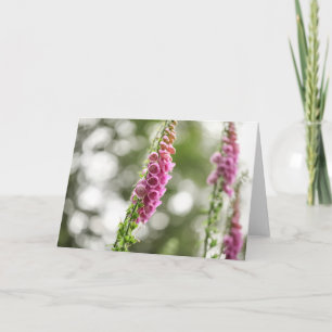 Foxglove Blossom Nature Photo Card