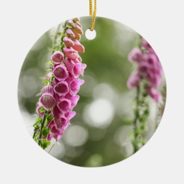 Foxglove Blossom Nature Photo Ceramic Tree Decoration (Front)