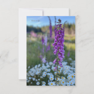 Foxglove & Daisies  Card