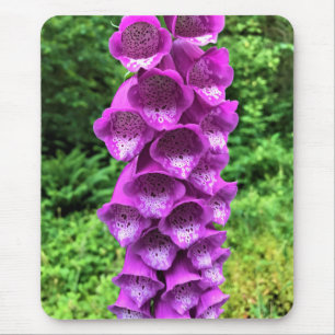 Foxglove Flowers, Oregon Mouse Pad