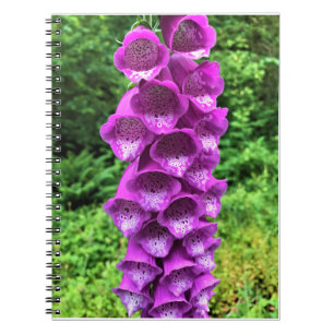 Foxglove Flowers, Oregon Notebook