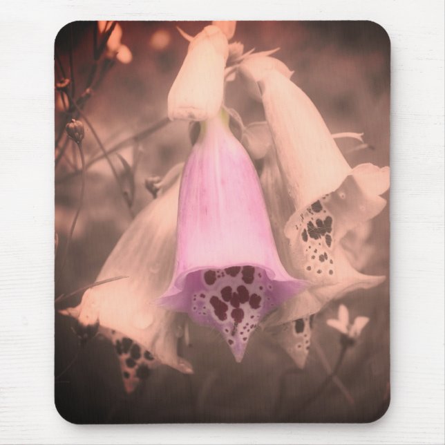 Foxglove Flowers Vintage Black And White  Mouse Pad (Front)