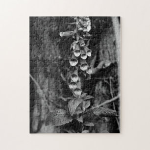 Foxgloves Jigsaw Puzzle
