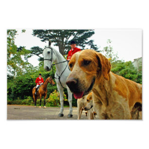 Foxhound Dogs Horses West Berkshire Hunt England Photo Print
