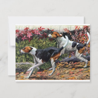 Foxhounds