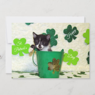 Foxi's St. Patrick's Day Cat/ Kitten - Flat Card