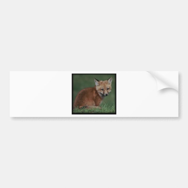 foxkit bumper sticker (Front)