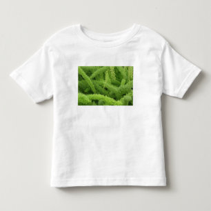 Foxtail Fern, Asparagus densiflorus myers Toddler T-Shirt